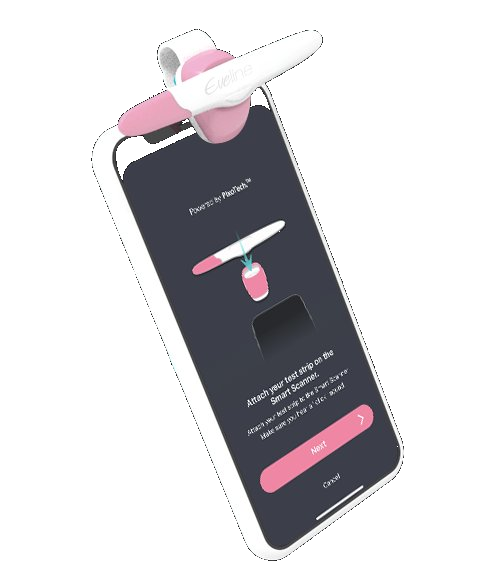 Eveline App 試片掃描引導